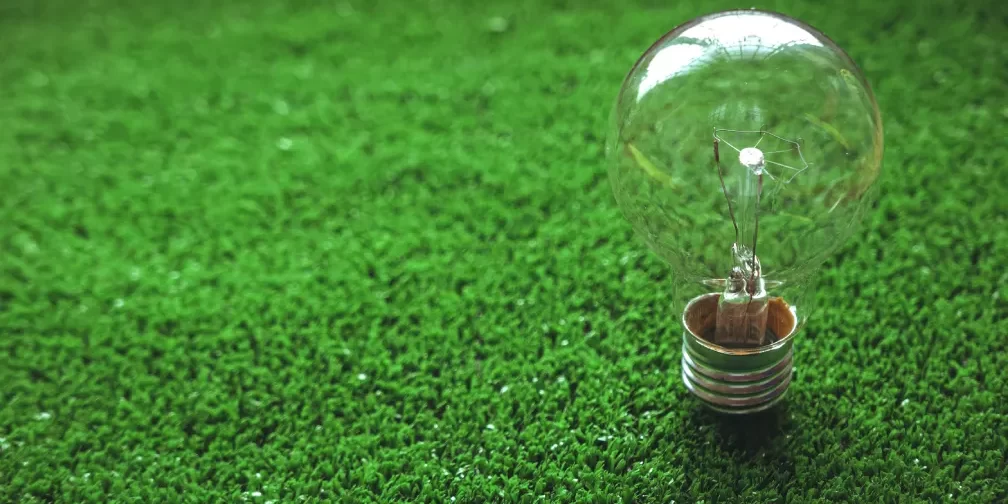 light-bulb-on-the-green-grass-the-concept-of-energ-2022-11-17-16-49-01-utc